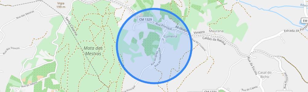 listing-map-picture