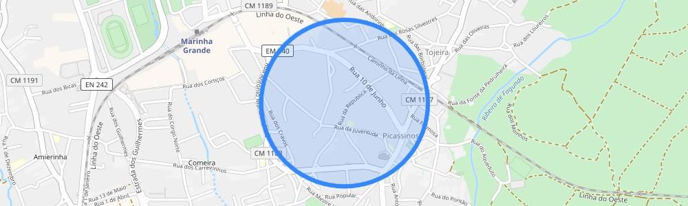 listing-map-picture