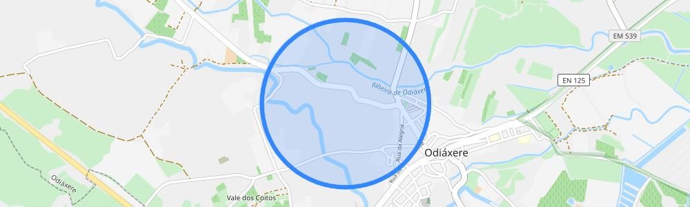listing-map-picture