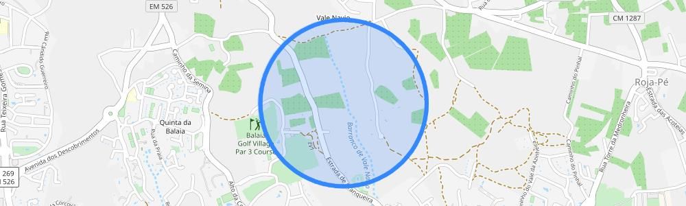listing-map-picture