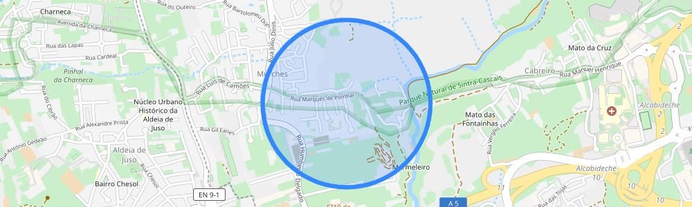 listing-map-picture