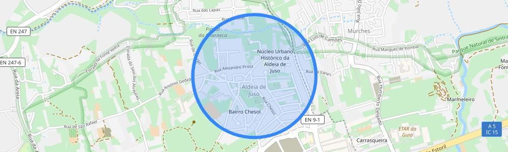 listing-map-picture
