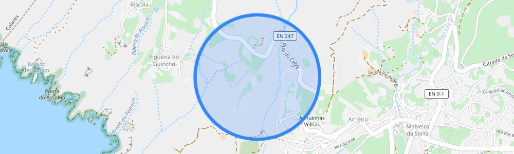 listing-map-picture