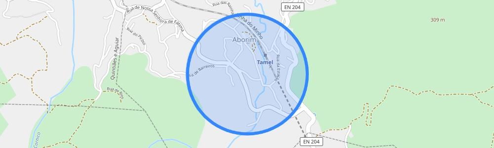 listing-map-picture