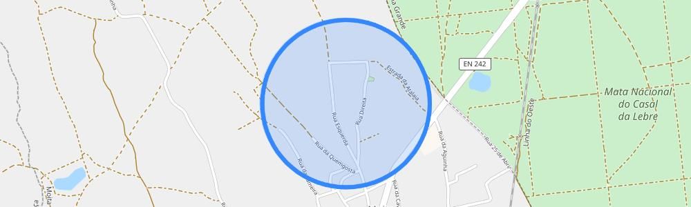listing-map-picture