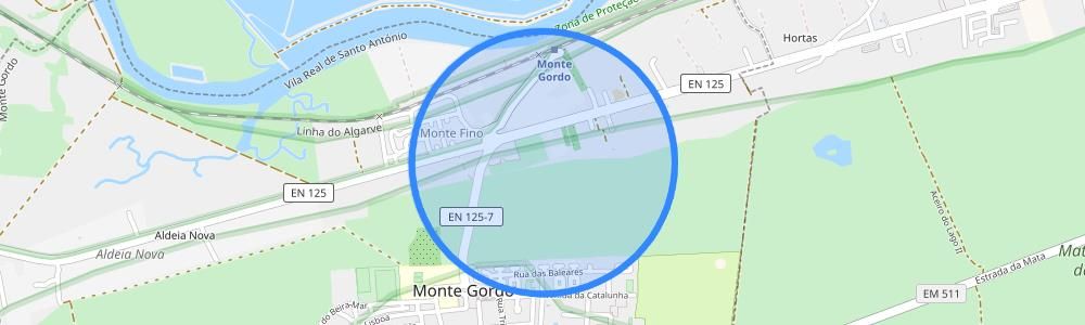 listing-map-picture