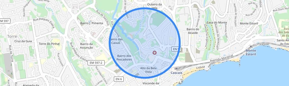 listing-map-picture