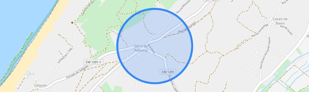 listing-map-picture