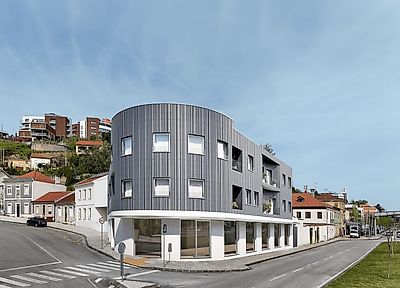 Voluta