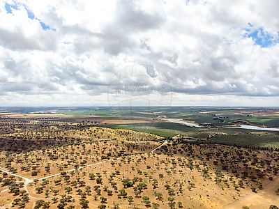 Herdade T2 à venda em Brinches, Serpa