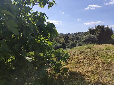 Terreno à venda em Serra e Junceira, Tomar