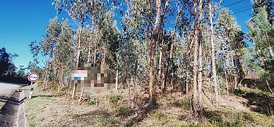 Terreno à venda em Ega, Condeixa-a-Nova