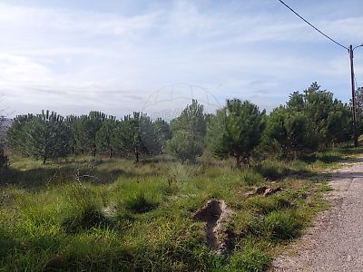 Terreno à venda em Soure, Soure