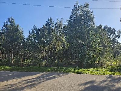 Terreno à venda em Milagres, Leiria
