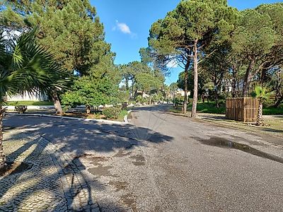 Terreno à venda em Carvalhal, Grândola