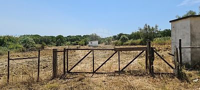 Terreno à venda em Vila Chã de Ourique, Cartaxo