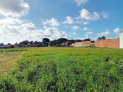 Terreno à venda em Póvoa da Isenta, Santarém