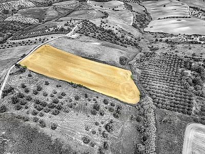 Terreno à venda em Moçarria, Santarém