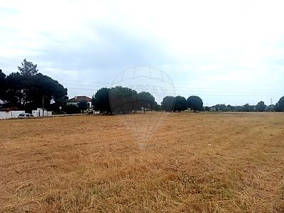Venda Terreno Cartaxo - Vista 6