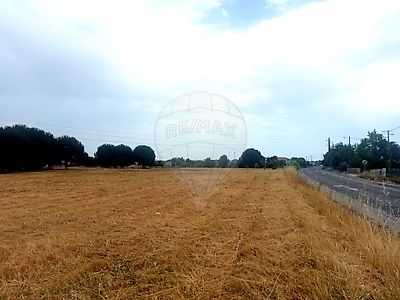 Venda Terreno Cartaxo - Vista 2