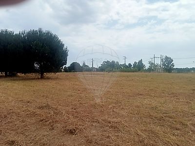 Venda Terreno Cartaxo - Vista 3