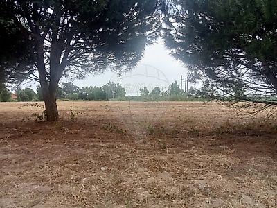 Venda Terreno Cartaxo - Vista 4