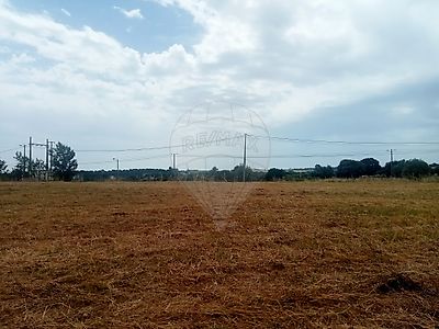 Venda Terreno Cartaxo - Vista 5