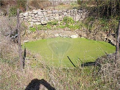Quinta à venda em Idanha-a-Nova e Alcafozes, Idanha-a-Nova