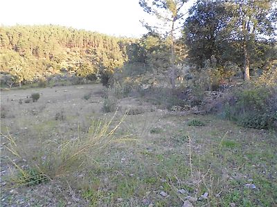 Quinta à venda em Castelo Branco, Castelo Branco