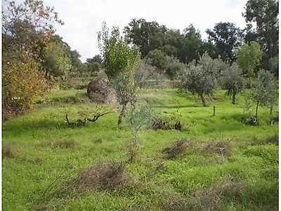 Terreno à venda em Idanha-a-Nova e Alcafozes, Idanha-a-Nova