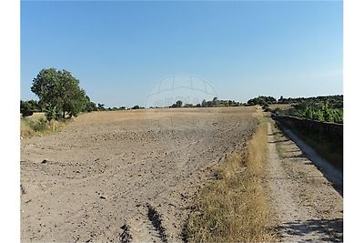 Quinta à venda em Castelo Branco, Castelo Branco