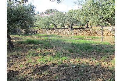 Venda Quinta Idanha-a-Nova - Bild 2