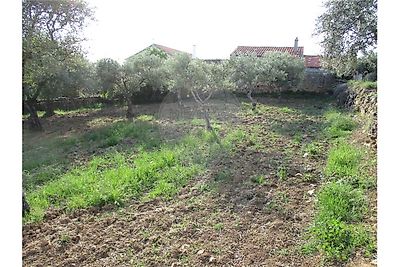 Venda Quinta Idanha-a-Nova - Bild 3