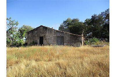 Quinta à venda em Castelo Branco, Castelo Branco