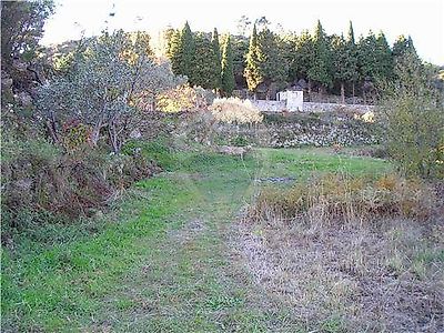 Quinta à venda em Castelo Branco, Castelo Branco