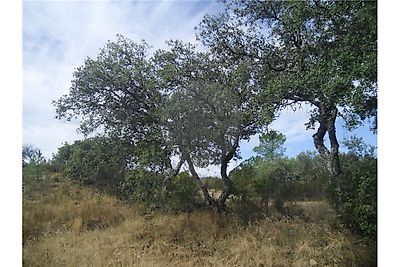 Quinta à venda em Castelo Branco, Castelo Branco