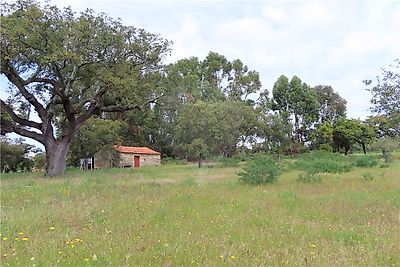Quinta à venda em Aldeia do Bispo, Águas e Aldeia de João Pires, Penamacor
