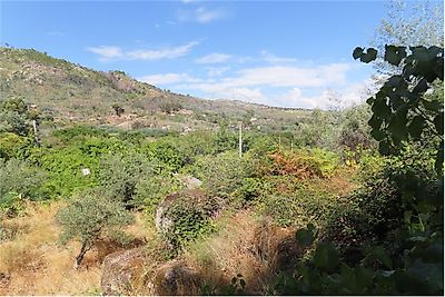 Quinta à venda em Castelo Branco, Castelo Branco