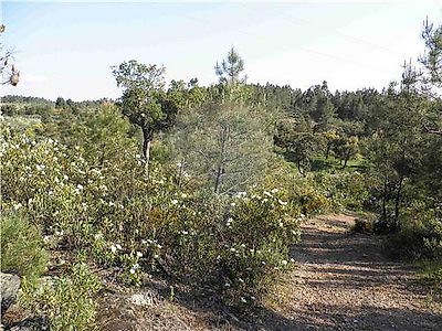 Quinta à venda em Castelo Branco, Castelo Branco