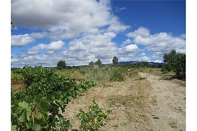 Quinta à venda em Castelo Branco, Castelo Branco