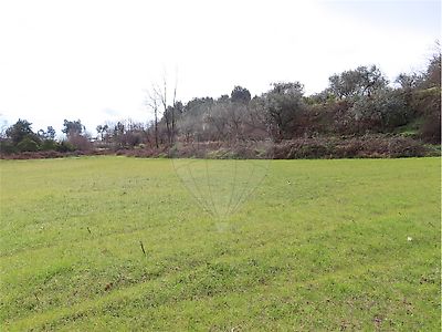 Quinta à venda em Póvoa de Atalaia e Atalaia do Campo, Fundão