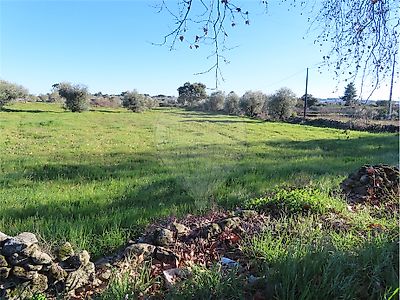Terreno à venda em Castelo Branco, Castelo Branco