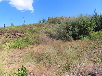Quinta à venda em Ninho do Açor e Sobral do Campo, Castelo Branco