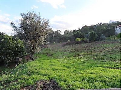 Quinta à venda em Ninho do Açor e Sobral do Campo, Castelo Branco