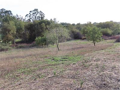Quinta à venda em Penamacor, Penamacor