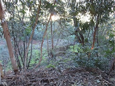 Quinta à venda em Louriçal do Campo, Castelo Branco
