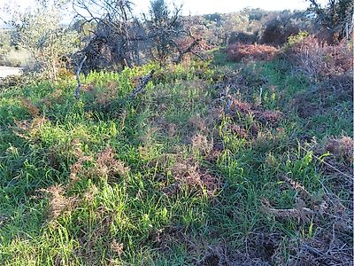 Quinta à venda em Louriçal do Campo, Castelo Branco