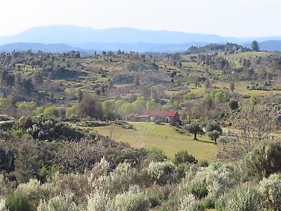 Quinta à venda em Penamacor, Penamacor
