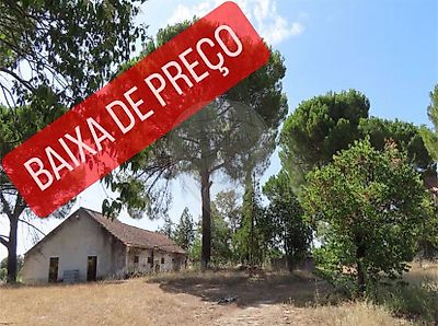 Quinta à venda em Escalos de Cima e Lousa, Castelo Branco