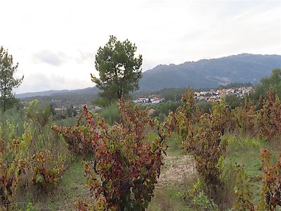 Terreno à venda em Póvoa de Atalaia e Atalaia do Campo, Fundão